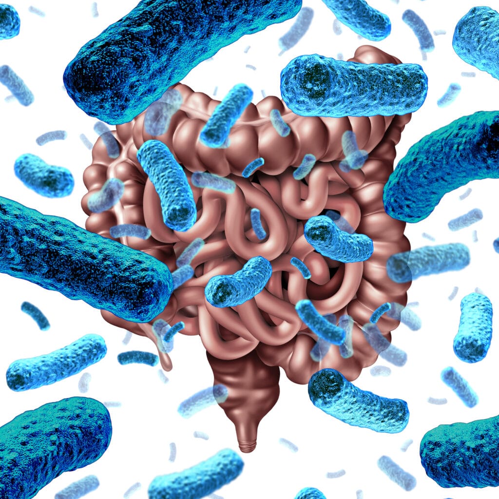 Mikrobiomet